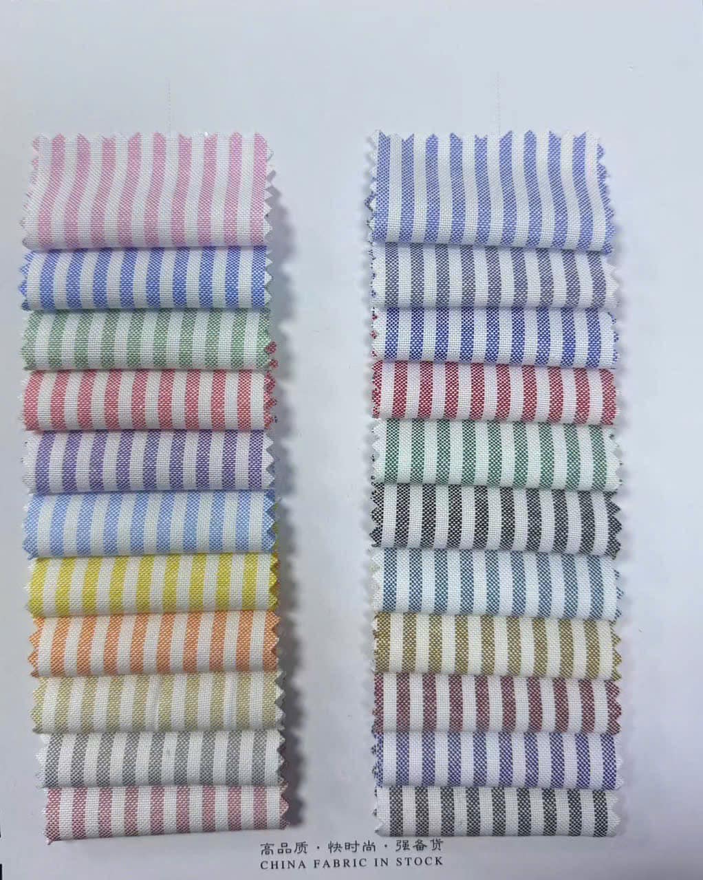542588156_122225397092146106_133370407986158765_n